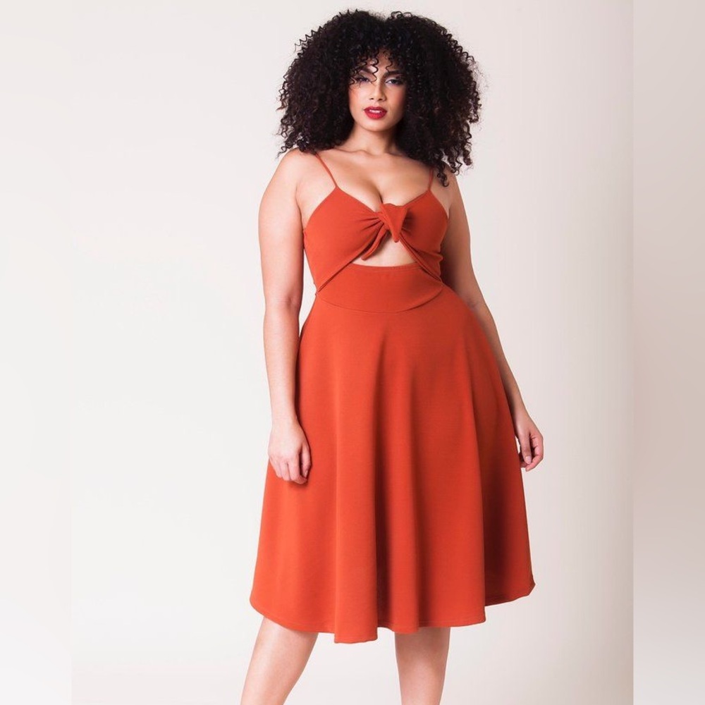 Rue107 brand new with tags size 1X rust colored skater flare dress with tie